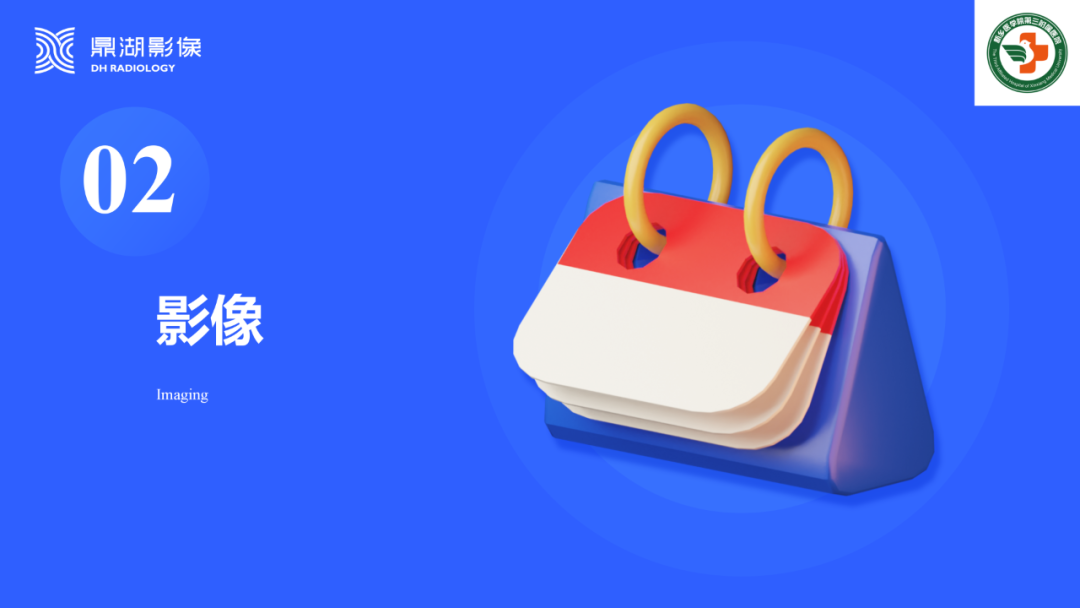 影像PPT - 【病例】肺淋巴管肌瘤病(结节性硬化)1例CT影像-5