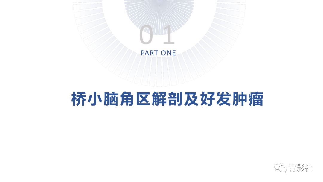 影像PPT - 【PPT】桥小脑角区肿瘤的影像诊断-2