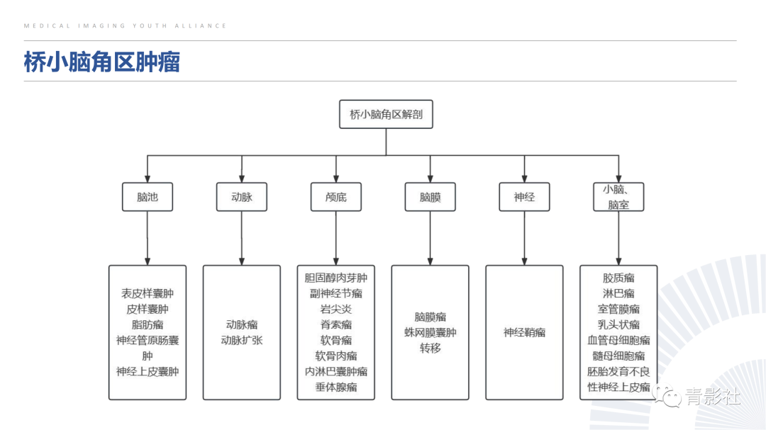 影像PPT - 【PPT】桥小脑角区肿瘤的影像诊断-4