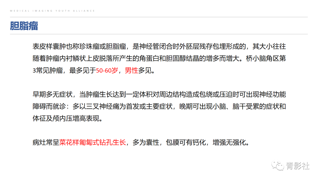 影像PPT - 【PPT】桥小脑角区肿瘤的影像诊断-17