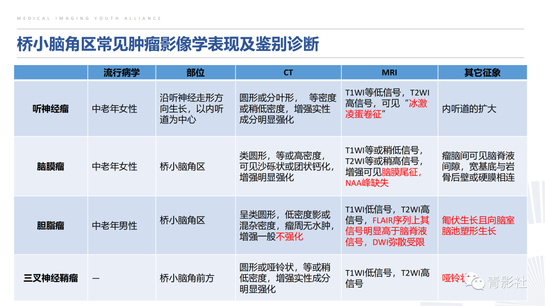 影像PPT - 【PPT】桥小脑角区肿瘤的影像诊断-38