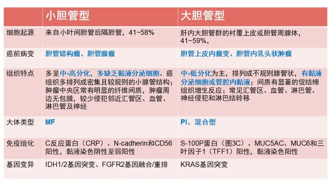 影像PPT - 【病例】肝内胆管癌1例CT及MR影像-15