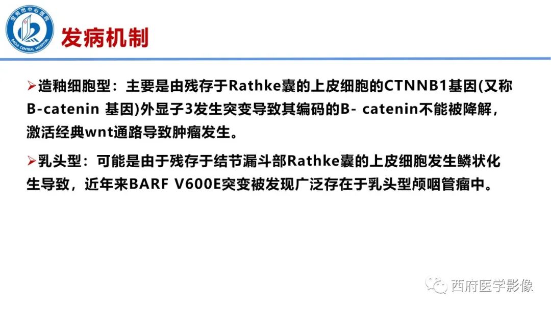 影像PPT - 【病例】鞍区囊性颅咽管瘤1例CT及MR影像诊断与鉴别-19