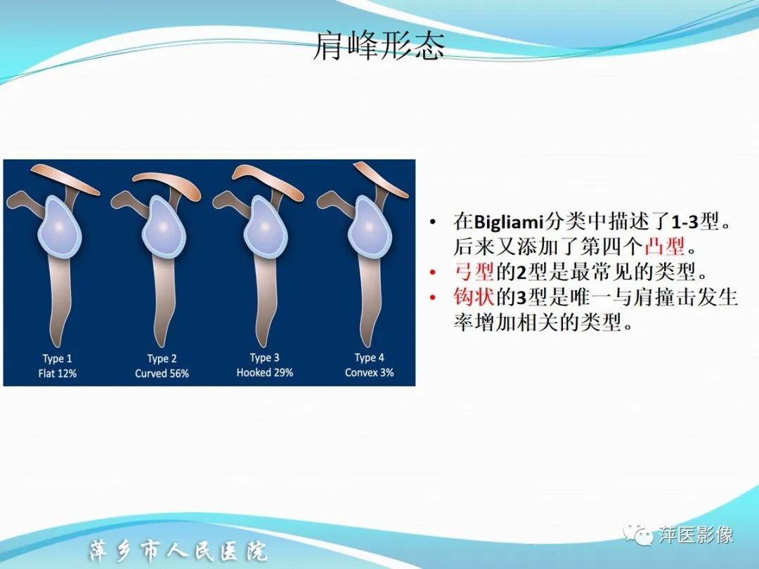 影像PPT - 【PPT】肩关节磁共振读片-9