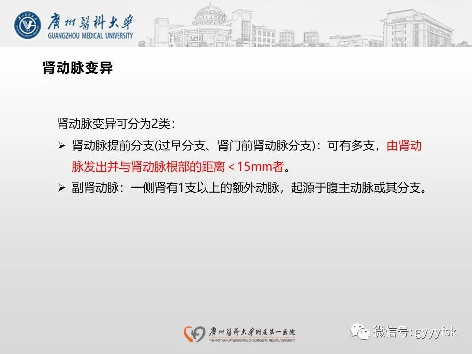 影像PPT - 【PPT】肾假性动脉瘤-14