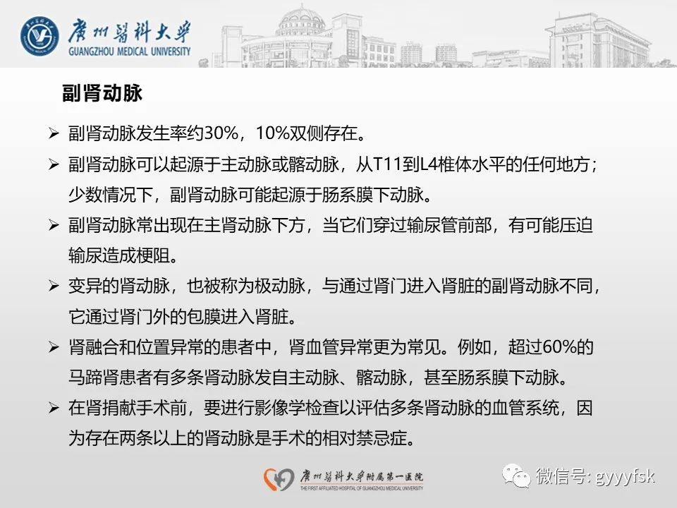影像PPT - 【PPT】肾假性动脉瘤-15