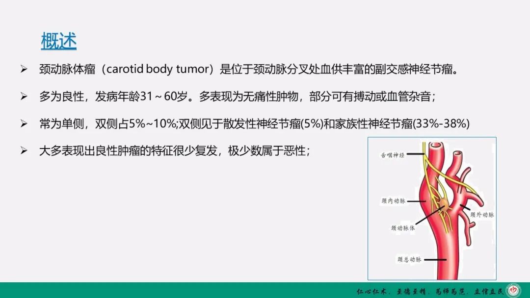 影像PPT - 【PPT】颈动脉体瘤（CBT）影像表现及临床分型-2