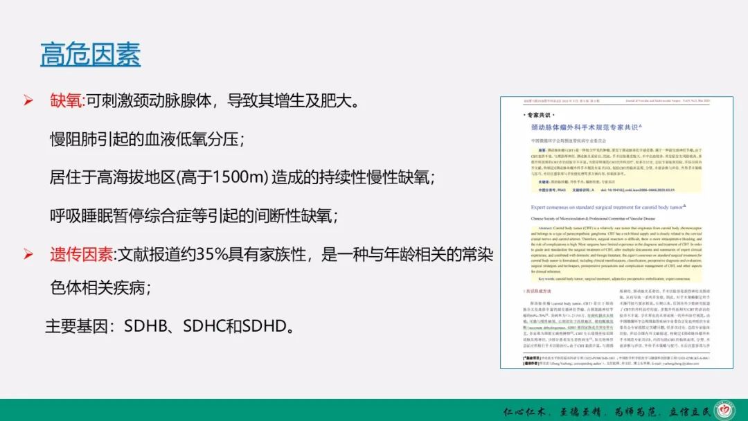 影像PPT - 【PPT】颈动脉体瘤（CBT）影像表现及临床分型-3
