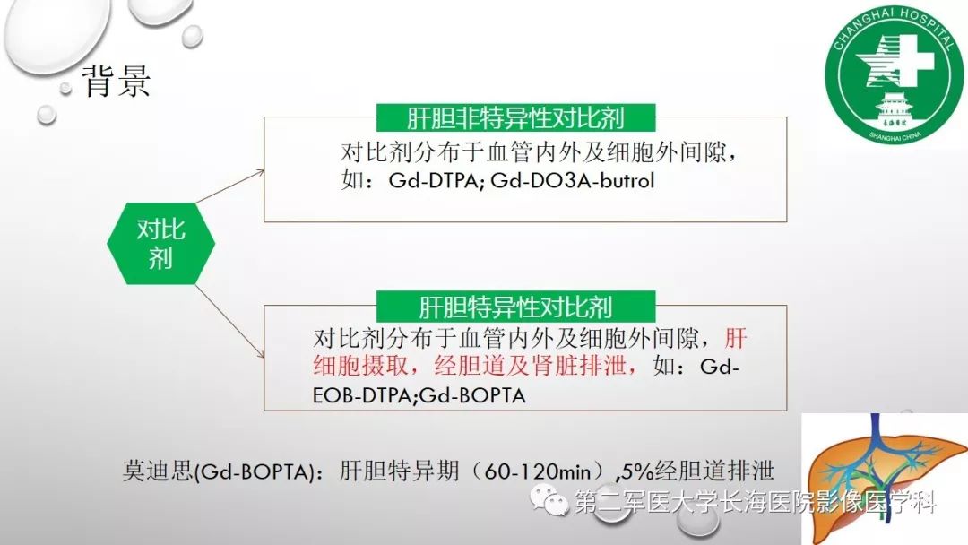 影像PPT - 【PPT】肝胆特异性MRI对比剂—钆塞酸二钠Gd-EOB-DTPA-2