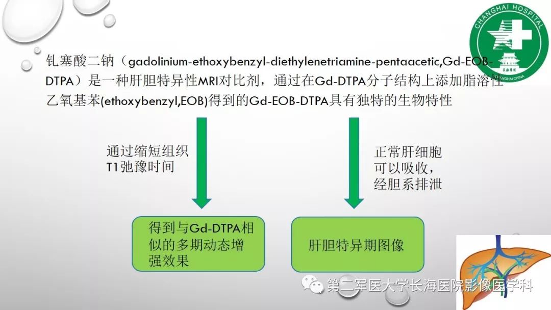 影像PPT - 【PPT】肝胆特异性MRI对比剂—钆塞酸二钠Gd-EOB-DTPA-3