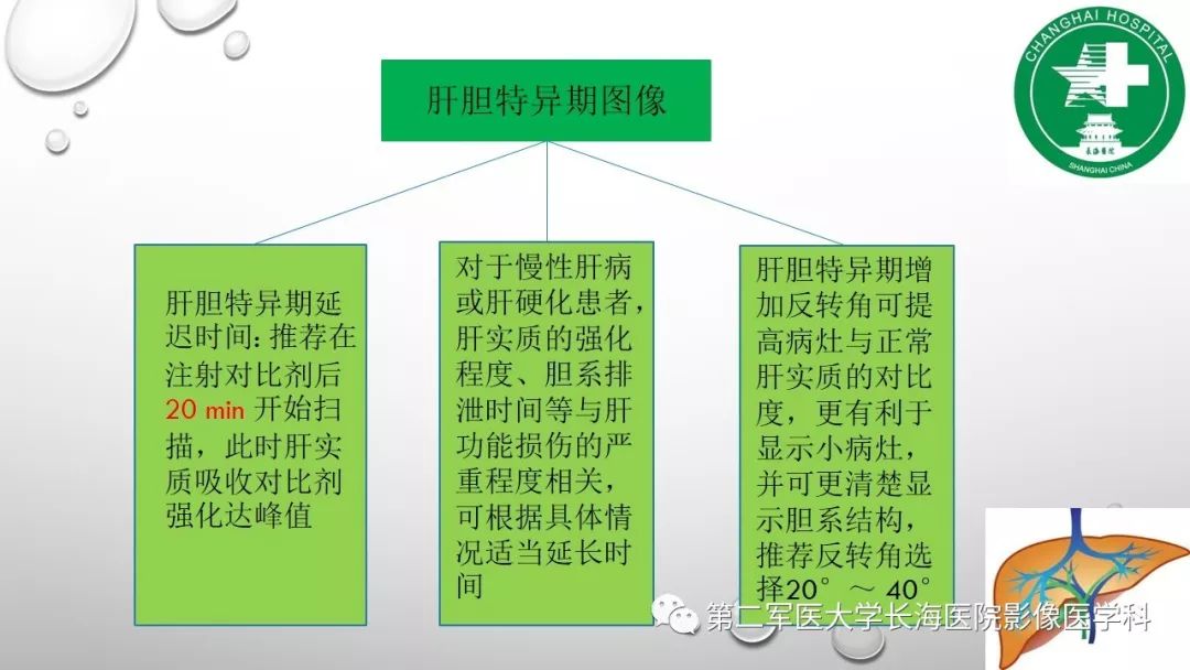 影像PPT - 【PPT】肝胆特异性MRI对比剂—钆塞酸二钠Gd-EOB-DTPA-7