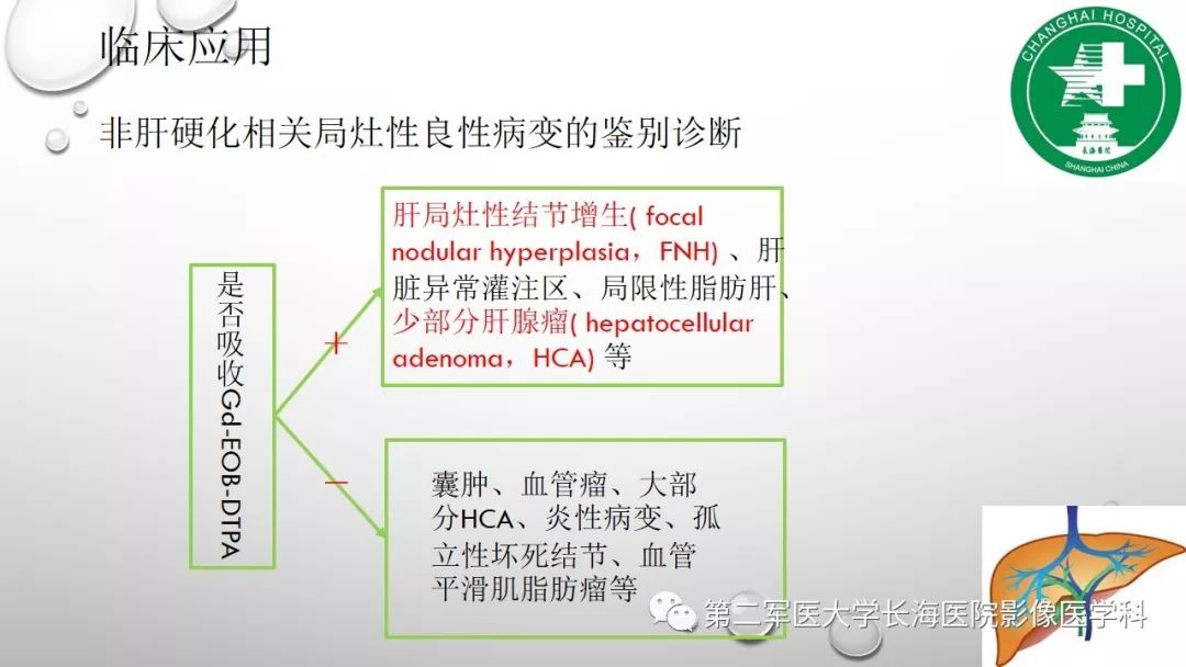 影像PPT - 【PPT】肝胆特异性MRI对比剂—钆塞酸二钠Gd-EOB-DTPA-10