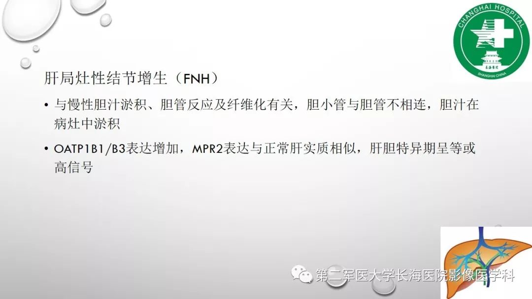 影像PPT - 【PPT】肝胆特异性MRI对比剂—钆塞酸二钠Gd-EOB-DTPA-11