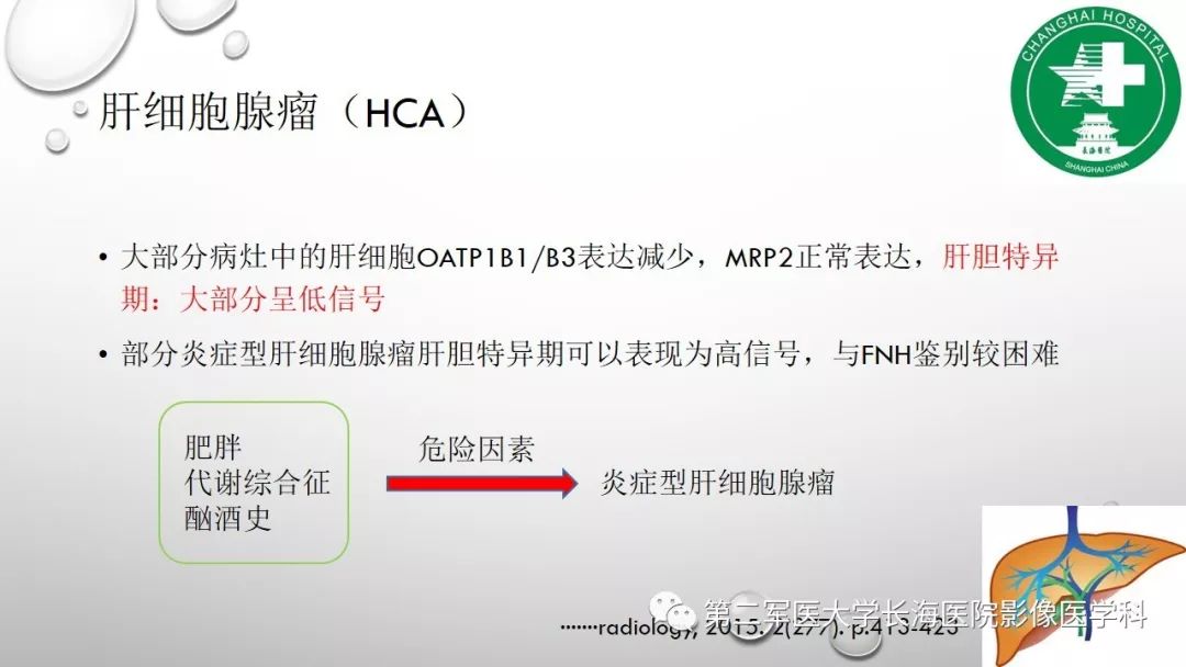 影像PPT - 【PPT】肝胆特异性MRI对比剂—钆塞酸二钠Gd-EOB-DTPA-13