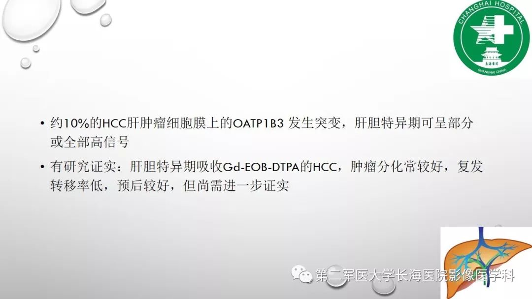 影像PPT - 【PPT】肝胆特异性MRI对比剂—钆塞酸二钠Gd-EOB-DTPA-24