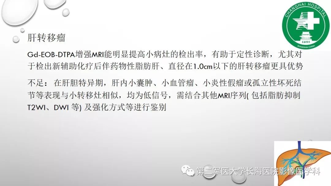 影像PPT - 【PPT】肝胆特异性MRI对比剂—钆塞酸二钠Gd-EOB-DTPA-25