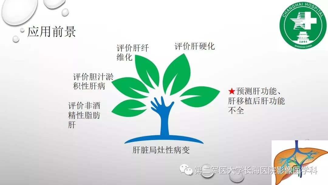影像PPT - 【PPT】肝胆特异性MRI对比剂—钆塞酸二钠Gd-EOB-DTPA-36
