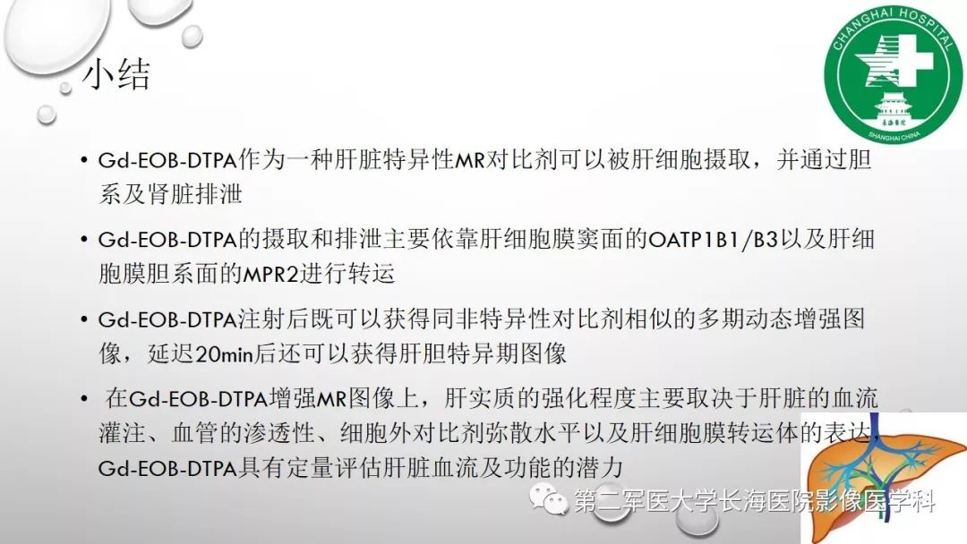 影像PPT - 【PPT】肝胆特异性MRI对比剂—钆塞酸二钠Gd-EOB-DTPA-37