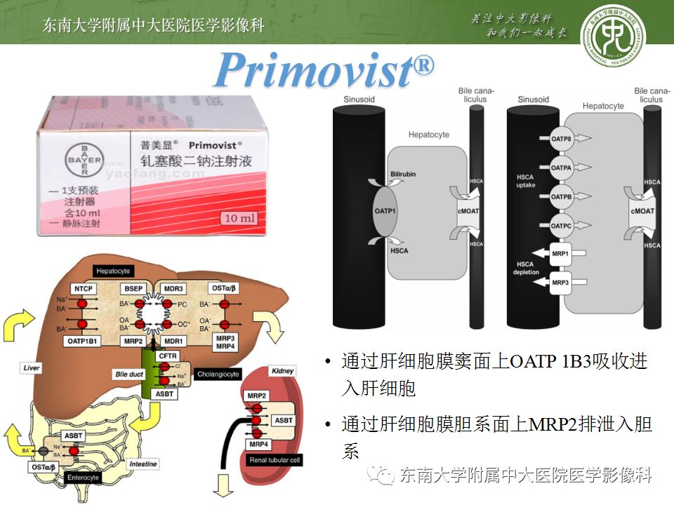影像PPT - 【PPT】肝胆特异性MRI对比剂—钆塞酸二钠Gd-EOB-DTPA-39