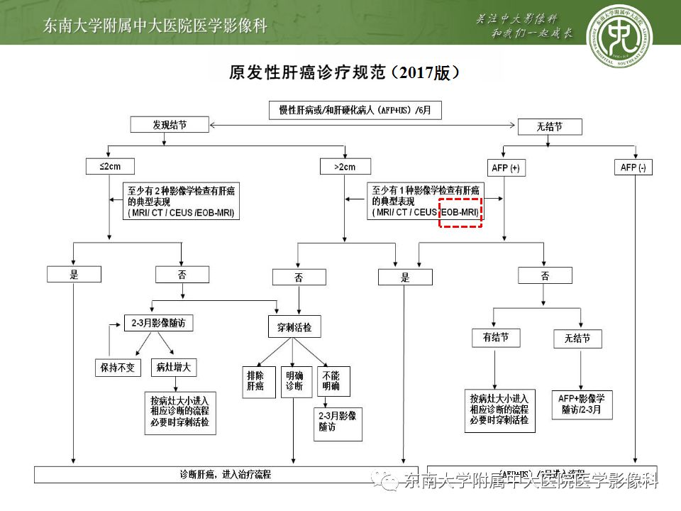 影像PPT - 【PPT】肝胆特异性MRI对比剂—钆塞酸二钠Gd-EOB-DTPA-41