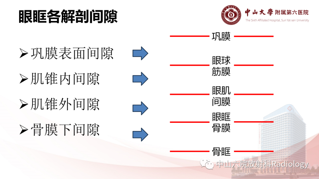 影像PPT - 【PPT】眶内血管瘤影像学表现-6