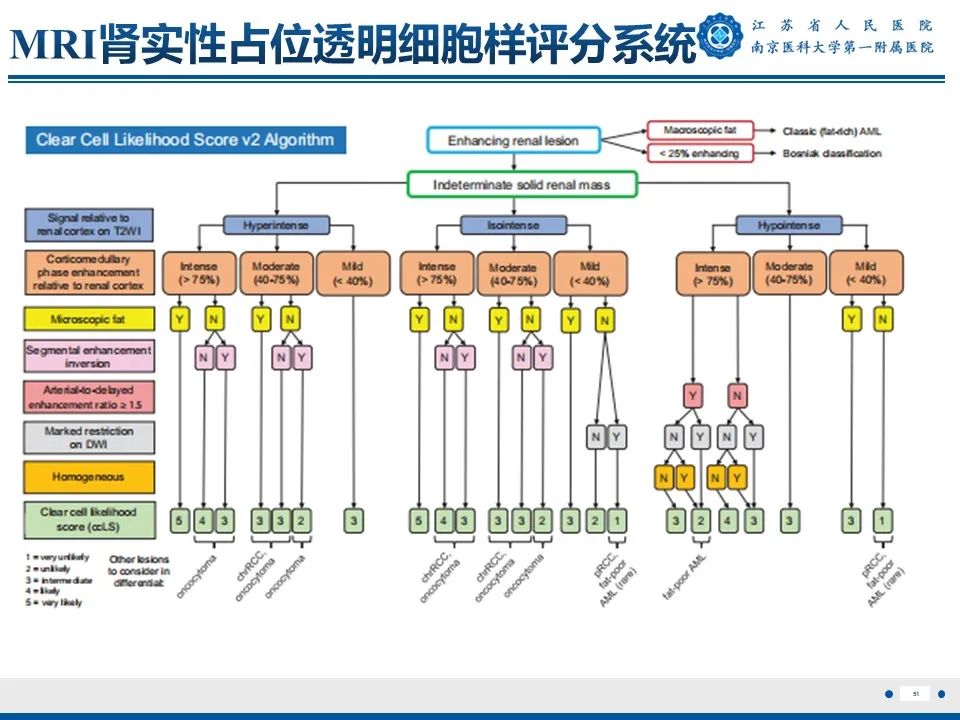 影像PPT - 【PPT】透明细胞癌-52