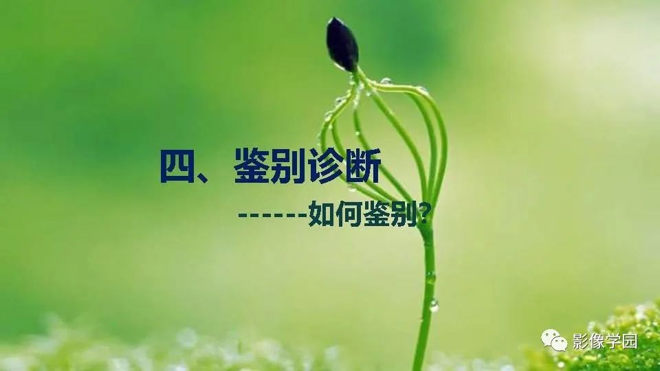影像PPT - 【PPT】子宫内膜癌MR诊断与鉴别-83