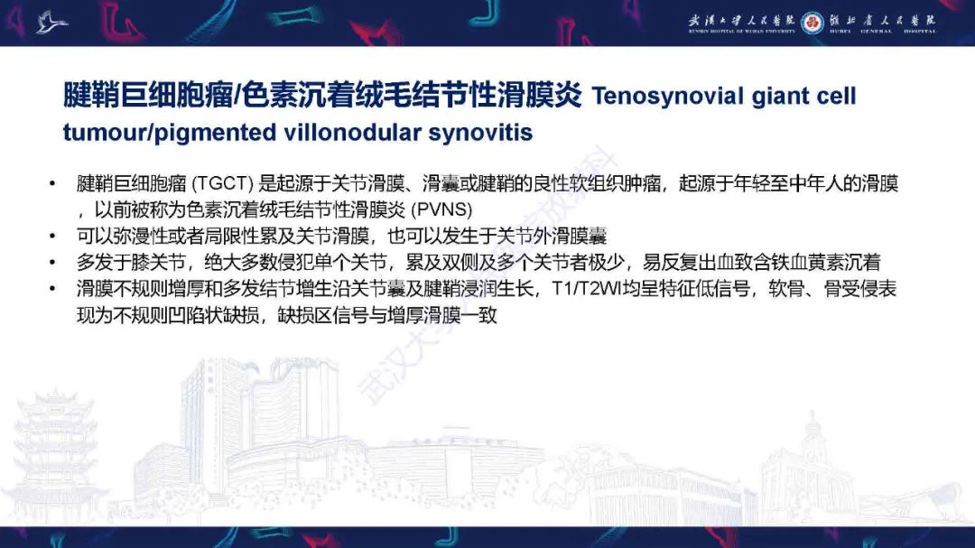 影像PPT - 【PPT】膝关节T2WI低信号病变影像诊断-13