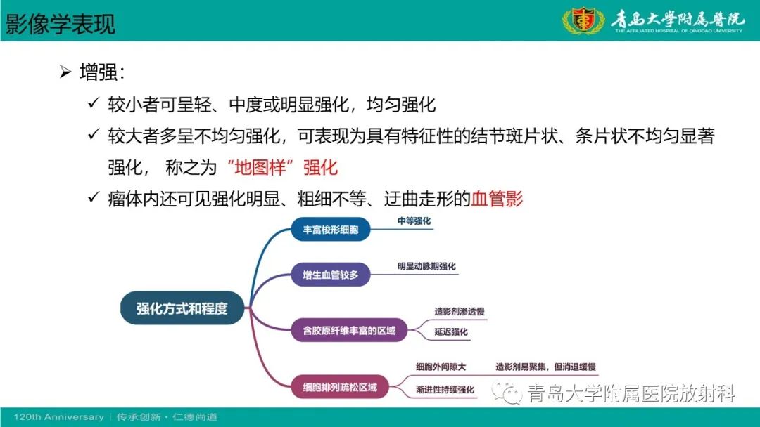 影像PPT - 【PPT】胸膜孤立性纤维性肿瘤-21