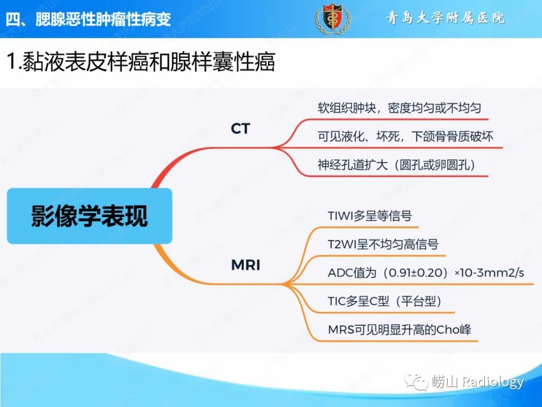 影像PPT - 【PPT】腮腺肿瘤性病变的影像学诊断思路及功能MRI价值评估-20
