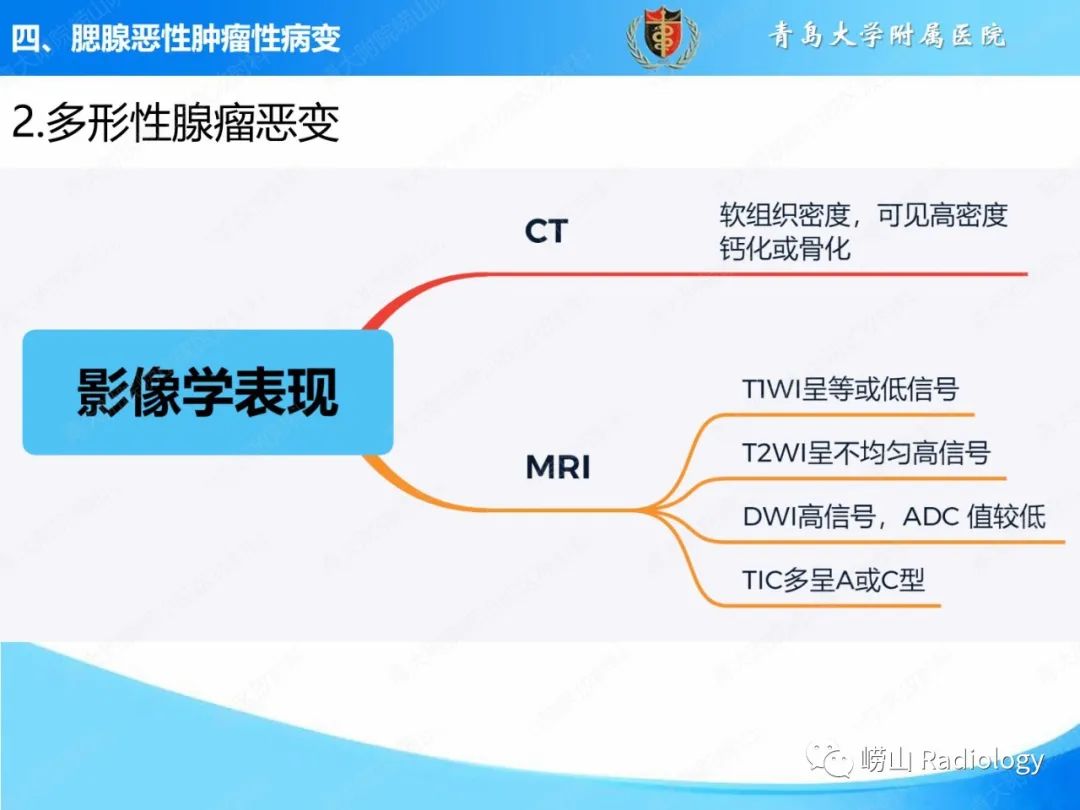 影像PPT - 【PPT】腮腺肿瘤性病变的影像学诊断思路及功能MRI价值评估-24