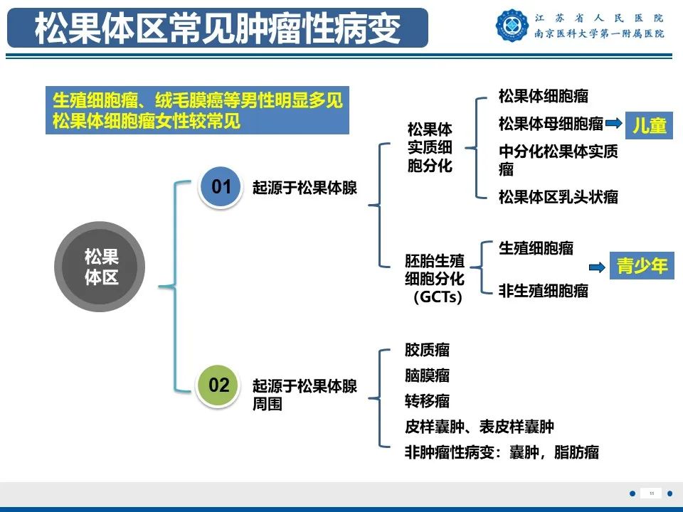 影像PPT - 【PPT】松果体生殖细胞瘤-12