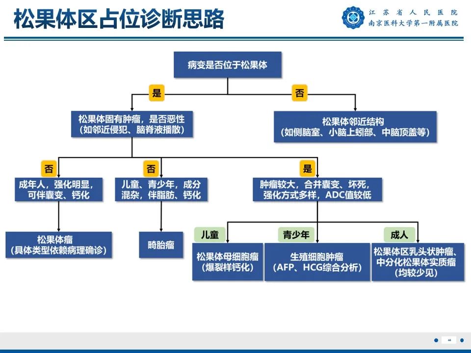 影像PPT - 【PPT】松果体生殖细胞瘤-45