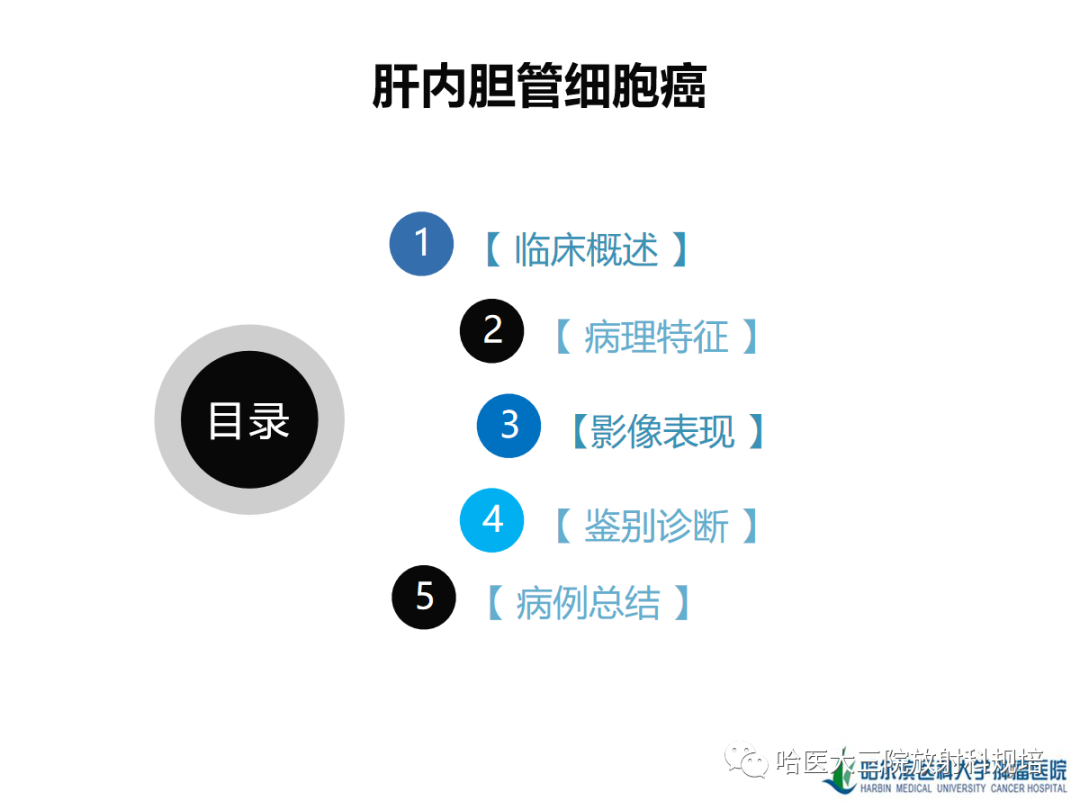 影像PPT - 【PPT】肝内胆管细胞癌-9
