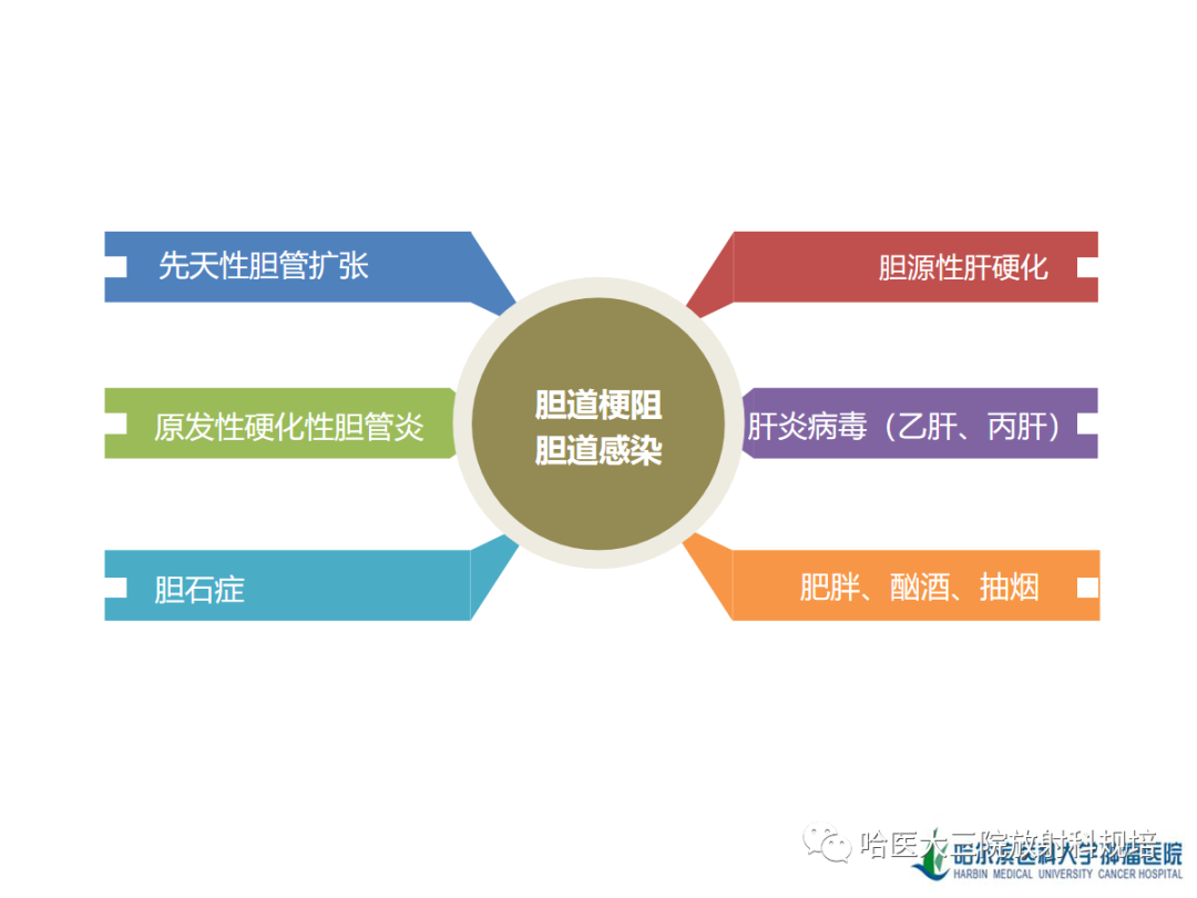 影像PPT - 【PPT】肝内胆管细胞癌-11
