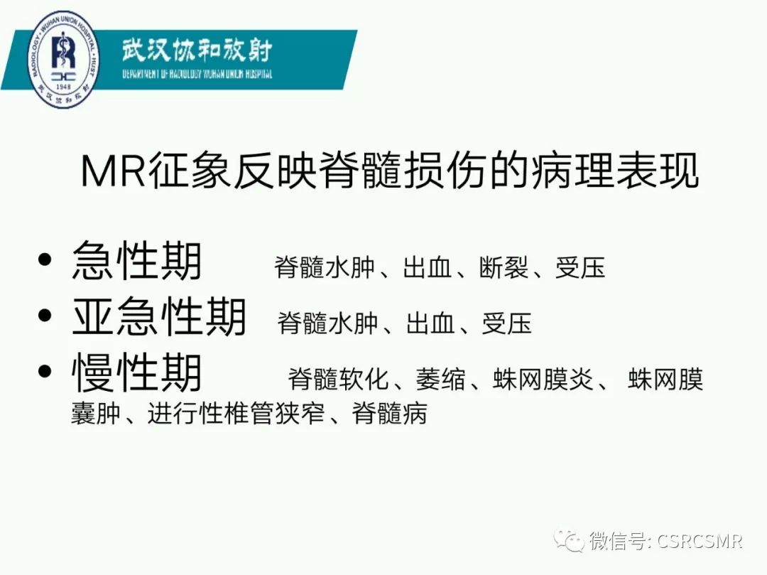 影像PPT - 【PPT】急性脊髓损伤--MR在临床决策和预后中的应用-43