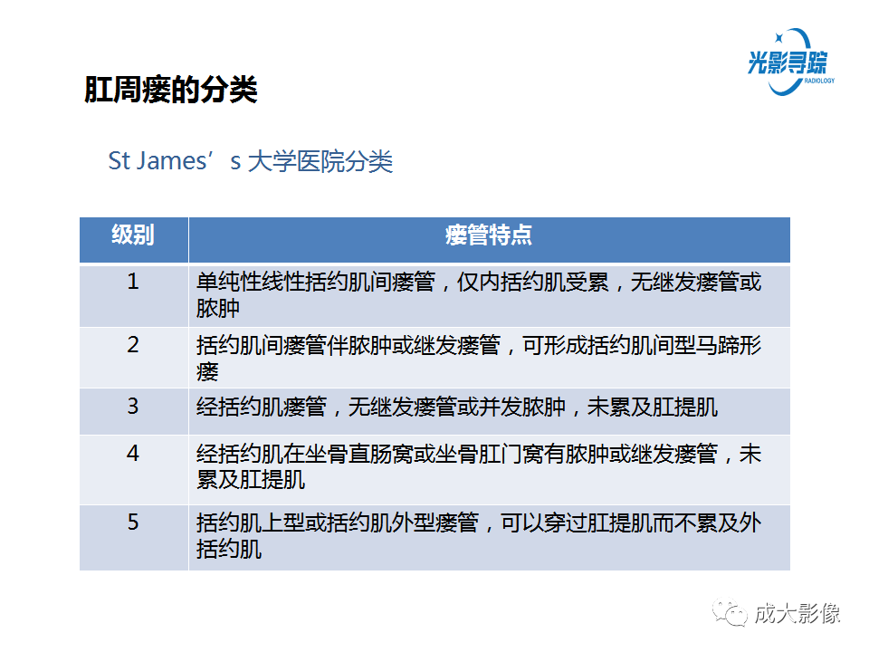 影像PPT - 【PPT】磁共振成像评估—肛周瘘的诊断：影像学特征谱-16