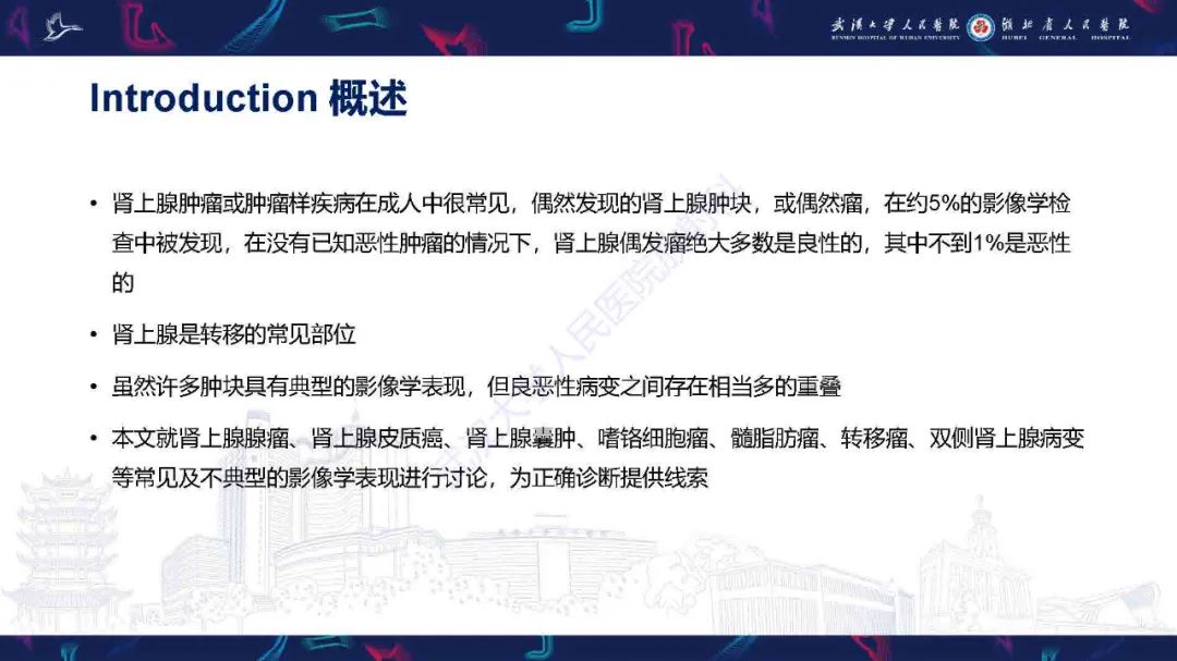 影像PPT - 【PPT】肾上腺肿瘤影像诊断-7