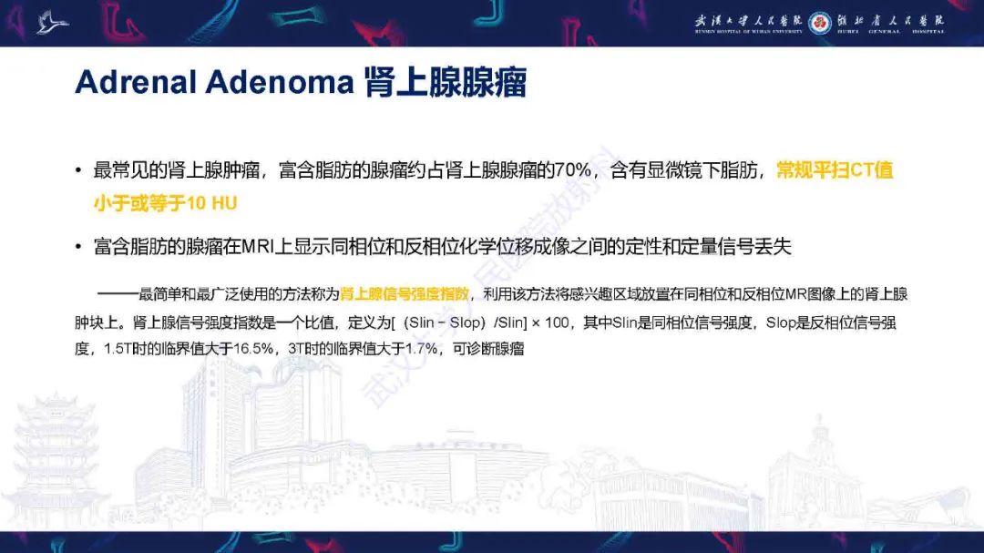 影像PPT - 【PPT】肾上腺肿瘤影像诊断-8