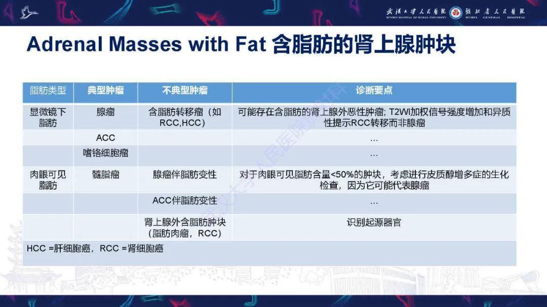 影像PPT - 【PPT】肾上腺肿瘤影像诊断-9