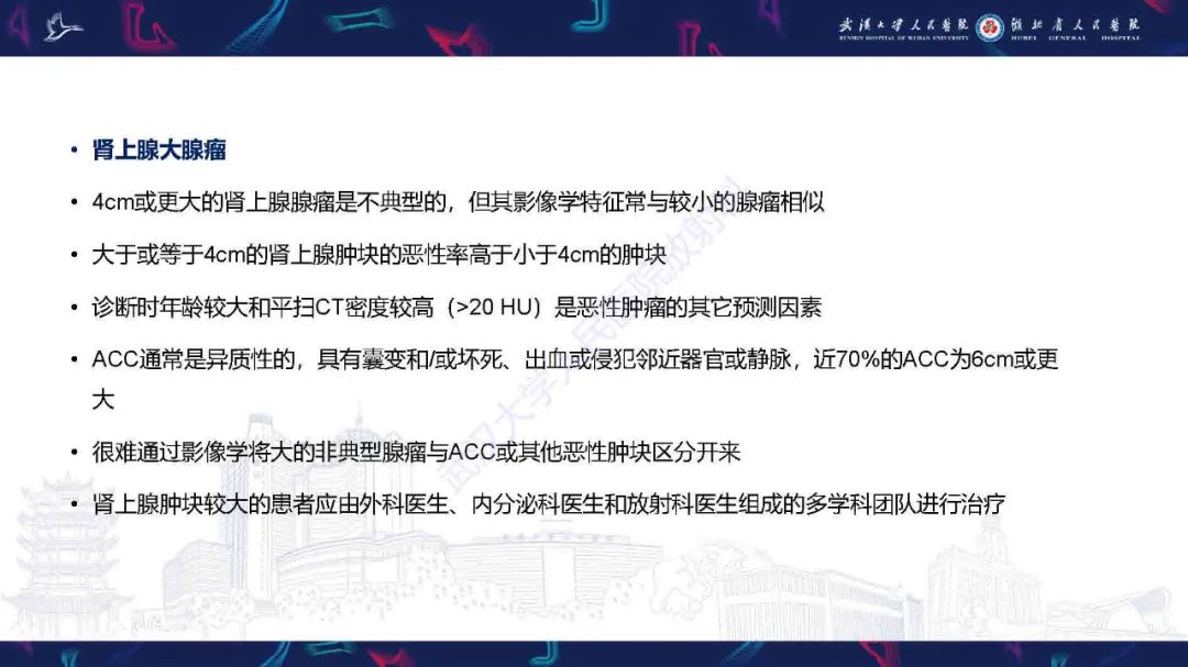 影像PPT - 【PPT】肾上腺肿瘤影像诊断-16