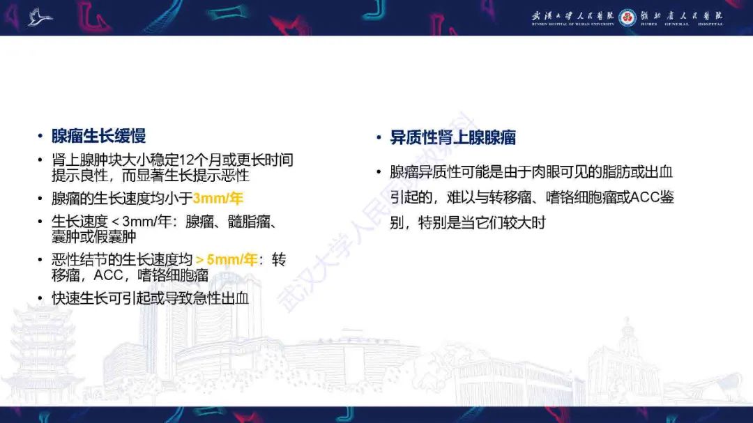 影像PPT - 【PPT】肾上腺肿瘤影像诊断-17