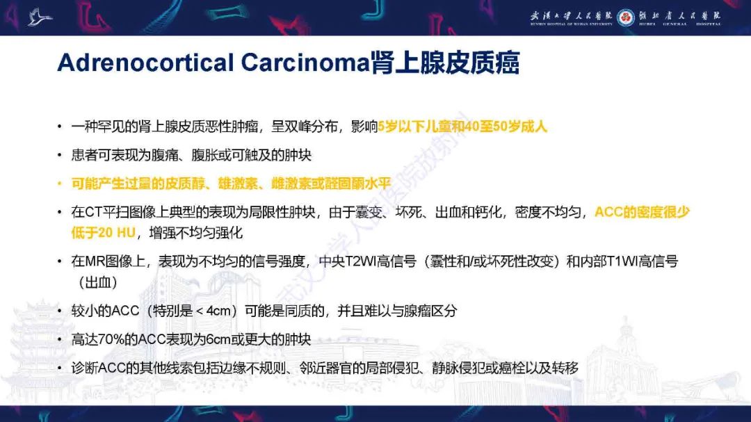 影像PPT - 【PPT】肾上腺肿瘤影像诊断-18