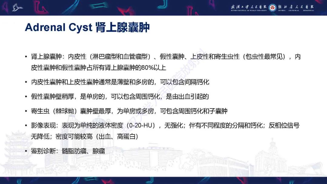 影像PPT - 【PPT】肾上腺肿瘤影像诊断-20