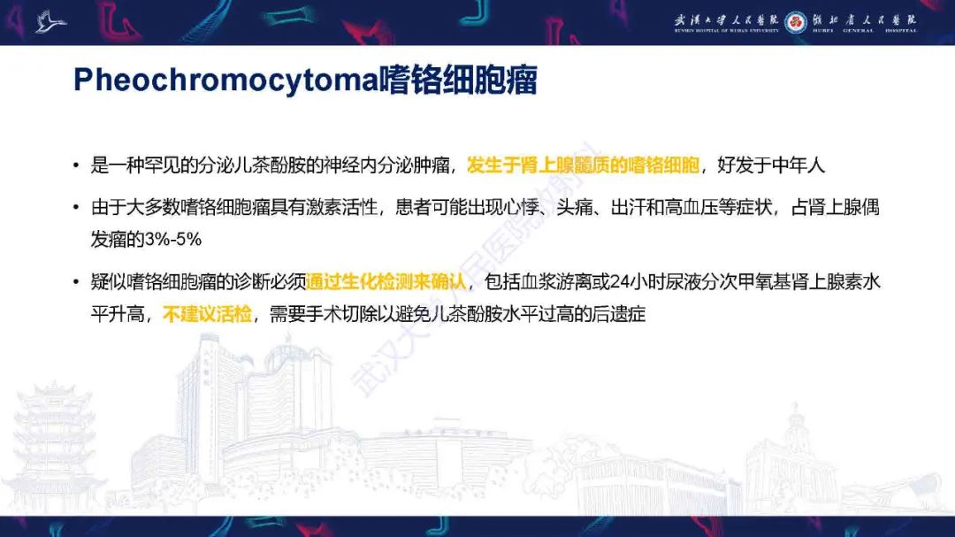 影像PPT - 【PPT】肾上腺肿瘤影像诊断-23