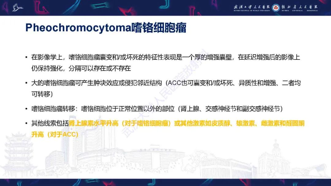 影像PPT - 【PPT】肾上腺肿瘤影像诊断-24