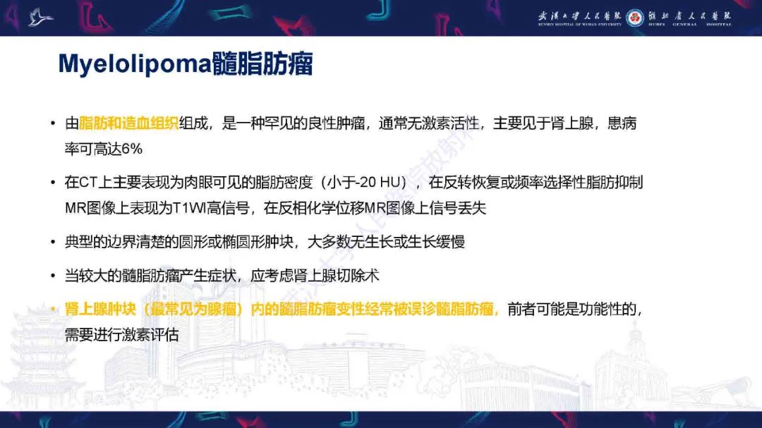 影像PPT - 【PPT】肾上腺肿瘤影像诊断-29