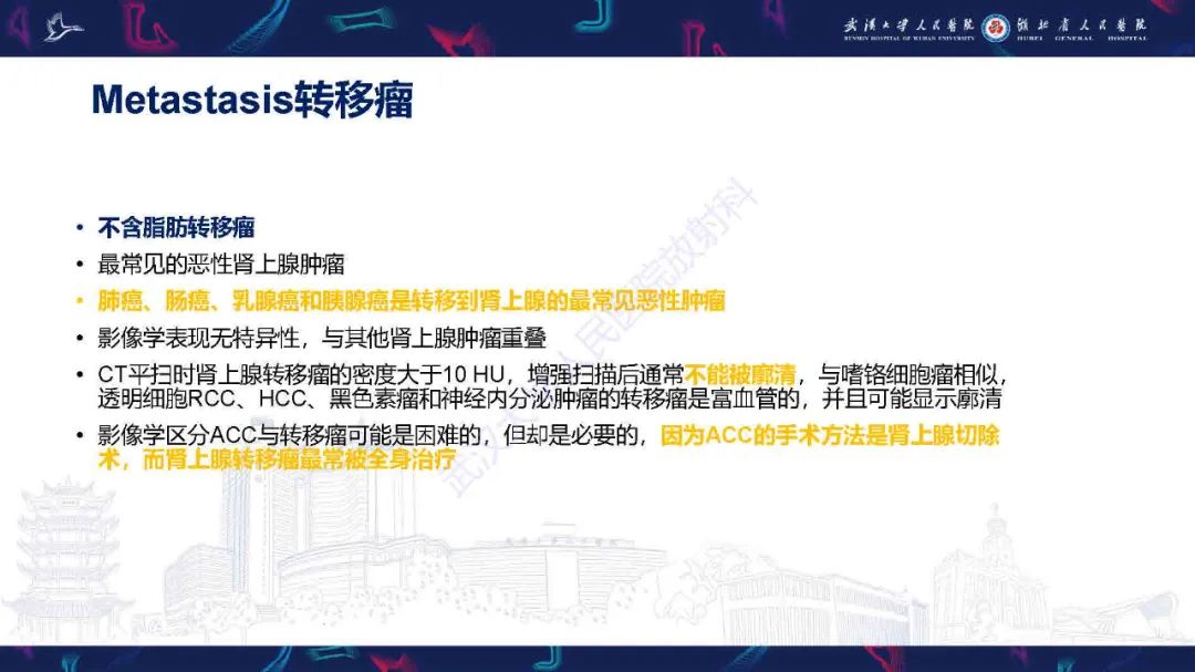 影像PPT - 【PPT】肾上腺肿瘤影像诊断-31