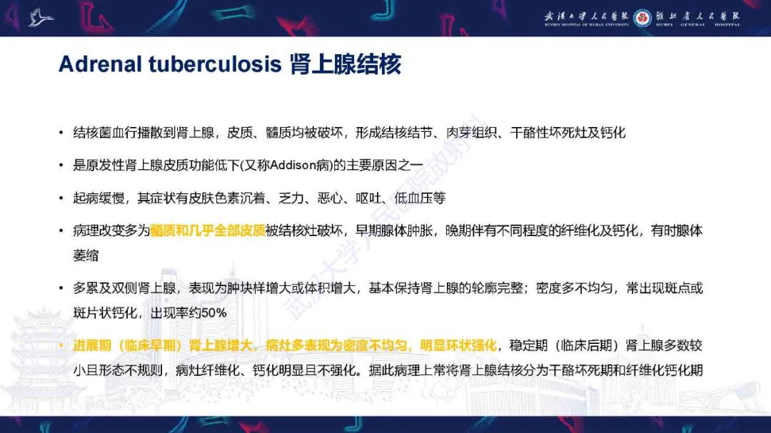 影像PPT - 【PPT】肾上腺肿瘤影像诊断-44