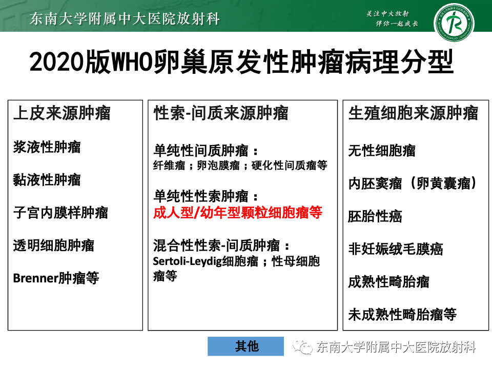 影像PPT - 【PPT】卵巢颗粒细胞瘤-14
